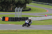 anglesey;brands-hatch;cadwell-park;croft;donington-park;enduro-digital-images;event-digital-images;eventdigitalimages;mallory;no-limits;oulton-park;peter-wileman-photography;racing-digital-images;silverstone;snetterton;trackday-digital-images;trackday-photos;vmcc-banbury-run;welsh-2-day-enduro