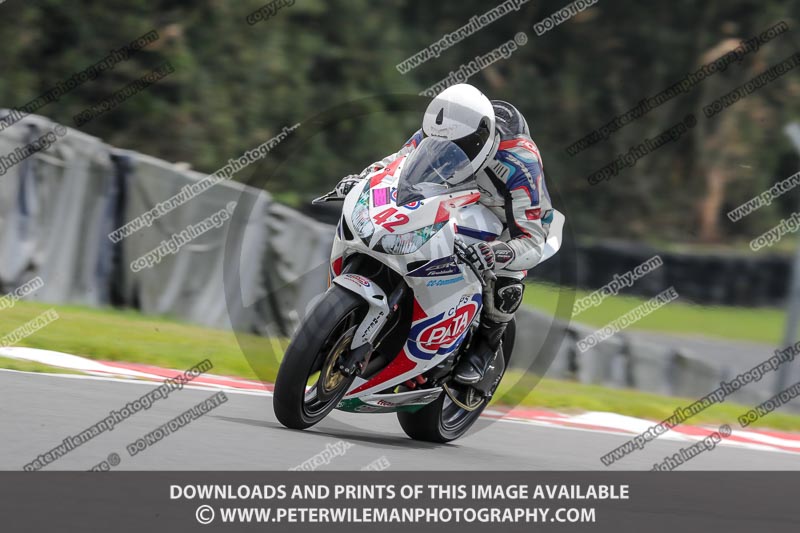 anglesey;brands hatch;cadwell park;croft;donington park;enduro digital images;event digital images;eventdigitalimages;mallory;no limits;oulton park;peter wileman photography;racing digital images;silverstone;snetterton;trackday digital images;trackday photos;vmcc banbury run;welsh 2 day enduro