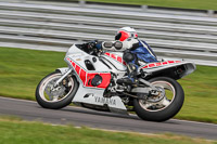 anglesey;brands-hatch;cadwell-park;croft;donington-park;enduro-digital-images;event-digital-images;eventdigitalimages;mallory;no-limits;oulton-park;peter-wileman-photography;racing-digital-images;silverstone;snetterton;trackday-digital-images;trackday-photos;vmcc-banbury-run;welsh-2-day-enduro