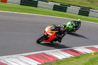 Lower Group Orange Bikes