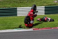 cadwell-no-limits-trackday;cadwell-park;cadwell-park-photographs;cadwell-trackday-photographs;enduro-digital-images;event-digital-images;eventdigitalimages;no-limits-trackdays;peter-wileman-photography;racing-digital-images;trackday-digital-images;trackday-photos