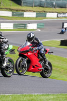 Lower Group Red Bikes
