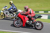 cadwell-no-limits-trackday;cadwell-park;cadwell-park-photographs;cadwell-trackday-photographs;enduro-digital-images;event-digital-images;eventdigitalimages;no-limits-trackdays;peter-wileman-photography;racing-digital-images;trackday-digital-images;trackday-photos