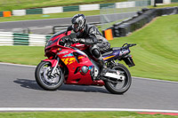 cadwell-no-limits-trackday;cadwell-park;cadwell-park-photographs;cadwell-trackday-photographs;enduro-digital-images;event-digital-images;eventdigitalimages;no-limits-trackdays;peter-wileman-photography;racing-digital-images;trackday-digital-images;trackday-photos