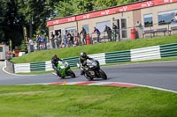 cadwell-no-limits-trackday;cadwell-park;cadwell-park-photographs;cadwell-trackday-photographs;enduro-digital-images;event-digital-images;eventdigitalimages;no-limits-trackdays;peter-wileman-photography;racing-digital-images;trackday-digital-images;trackday-photos