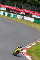 Advanced Group Yellow Bikes