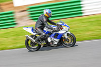 enduro-digital-images;event-digital-images;eventdigitalimages;mallory-park;mallory-park-photographs;mallory-park-trackday;mallory-park-trackday-photographs;no-limits-trackdays;peter-wileman-photography;racing-digital-images;trackday-digital-images;trackday-photos