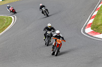 Middle Group Orange Bikes