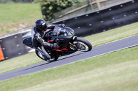 Middle Group Black Bikes