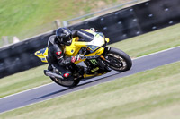 enduro-digital-images;event-digital-images;eventdigitalimages;no-limits-trackdays;peter-wileman-photography;racing-digital-images;snetterton;snetterton-no-limits-trackday;snetterton-photographs;snetterton-trackday-photographs;trackday-digital-images;trackday-photos