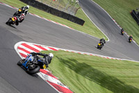 brands-hatch-photographs;brands-no-limits-trackday;cadwell-trackday-photographs;enduro-digital-images;event-digital-images;eventdigitalimages;no-limits-trackdays;peter-wileman-photography;racing-digital-images;trackday-digital-images;trackday-photos