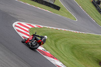 Lower Group Red Bikes