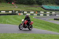 Middle Group Red Bikes