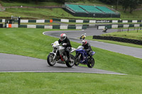 Middle Group Silver/Grey Bikes