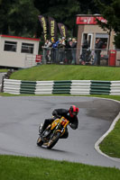 Eve Low/Mid Group Yellow Bikes