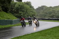 Lower Group White Bikes