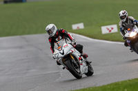 Advanced Group White Bikes