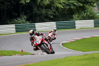 Advanced Group Red Bikes