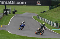 Lower Group Orange Bikes