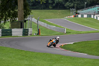Lower Group Orange Bikes