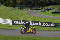 Lower Group Yellow Bikes