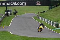 Lower Group Yellow Bikes