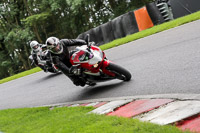 Middle Group Red Bikes