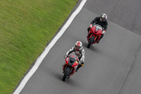 Middle Group Red Bikes