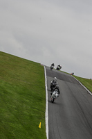 Middle  Group White Bikes