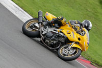 Middle Group Yellow Bikes