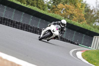 Advanced Group White Bikes