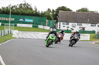 Lower Group Green Bikes