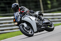 Advanced Group White Bikes