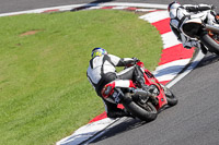 brands-hatch-photographs;brands-no-limits-trackday;cadwell-trackday-photographs;enduro-digital-images;event-digital-images;eventdigitalimages;no-limits-trackdays;peter-wileman-photography;racing-digital-images;trackday-digital-images;trackday-photos