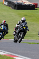 Middle Group 1 Black Bikes