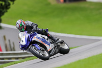 brands-hatch-photographs;brands-no-limits-trackday;cadwell-trackday-photographs;enduro-digital-images;event-digital-images;eventdigitalimages;no-limits-trackdays;peter-wileman-photography;racing-digital-images;trackday-digital-images;trackday-photos