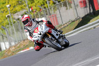 brands-hatch-photographs;brands-no-limits-trackday;cadwell-trackday-photographs;enduro-digital-images;event-digital-images;eventdigitalimages;no-limits-trackdays;peter-wileman-photography;racing-digital-images;trackday-digital-images;trackday-photos
