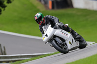 brands-hatch-photographs;brands-no-limits-trackday;cadwell-trackday-photographs;enduro-digital-images;event-digital-images;eventdigitalimages;no-limits-trackdays;peter-wileman-photography;racing-digital-images;trackday-digital-images;trackday-photos