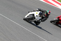 brands-hatch-photographs;brands-no-limits-trackday;cadwell-trackday-photographs;enduro-digital-images;event-digital-images;eventdigitalimages;no-limits-trackdays;peter-wileman-photography;racing-digital-images;trackday-digital-images;trackday-photos