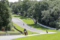 Middle Group 1 Yellow Bikes