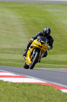 Middle Group 1 Yellow Bikes