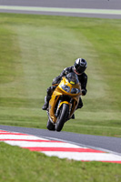 Middle Group 1 Yellow Bikes