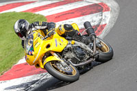 Middle Group 1 Yellow Bikes