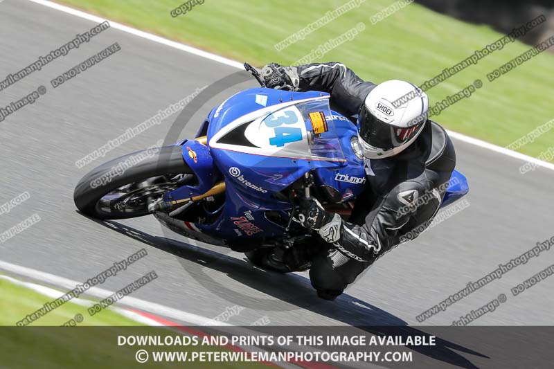 anglesey;brands hatch;cadwell park;croft;donington park;enduro digital images;event digital images;eventdigitalimages;mallory;no limits;oulton park;peter wileman photography;racing digital images;silverstone;snetterton;trackday digital images;trackday photos;vmcc banbury run;welsh 2 day enduro