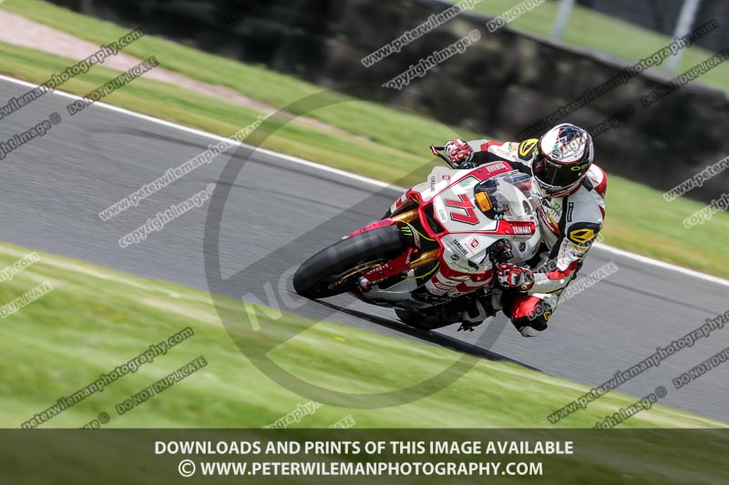 anglesey;brands hatch;cadwell park;croft;donington park;enduro digital images;event digital images;eventdigitalimages;mallory;no limits;oulton park;peter wileman photography;racing digital images;silverstone;snetterton;trackday digital images;trackday photos;vmcc banbury run;welsh 2 day enduro