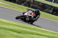 anglesey;brands-hatch;cadwell-park;croft;donington-park;enduro-digital-images;event-digital-images;eventdigitalimages;mallory;no-limits;oulton-park;peter-wileman-photography;racing-digital-images;silverstone;snetterton;trackday-digital-images;trackday-photos;vmcc-banbury-run;welsh-2-day-enduro