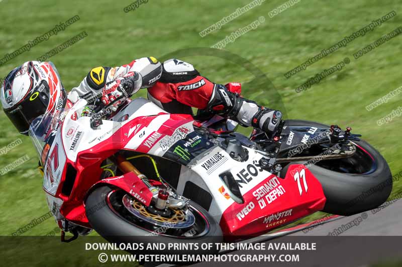 anglesey;brands hatch;cadwell park;croft;donington park;enduro digital images;event digital images;eventdigitalimages;mallory;no limits;oulton park;peter wileman photography;racing digital images;silverstone;snetterton;trackday digital images;trackday photos;vmcc banbury run;welsh 2 day enduro