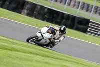 Advanced Group White Bikes