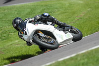 anglesey;brands-hatch;cadwell-park;croft;donington-park;enduro-digital-images;event-digital-images;eventdigitalimages;mallory;no-limits;oulton-park;peter-wileman-photography;racing-digital-images;silverstone;snetterton;trackday-digital-images;trackday-photos;vmcc-banbury-run;welsh-2-day-enduro