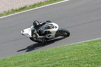 anglesey;brands-hatch;cadwell-park;croft;donington-park;enduro-digital-images;event-digital-images;eventdigitalimages;mallory;no-limits;oulton-park;peter-wileman-photography;racing-digital-images;silverstone;snetterton;trackday-digital-images;trackday-photos;vmcc-banbury-run;welsh-2-day-enduro